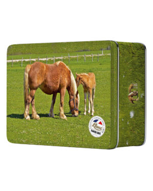 Caramels au sel de Salins-les-Bains en boite métal "Cheval" 350g