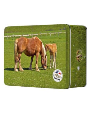 Caramels au sel de Salins-les-Bains en boite métal "Cheval" 350g