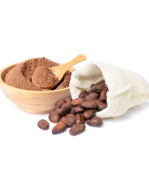 Recharge cacao en poudre 500g